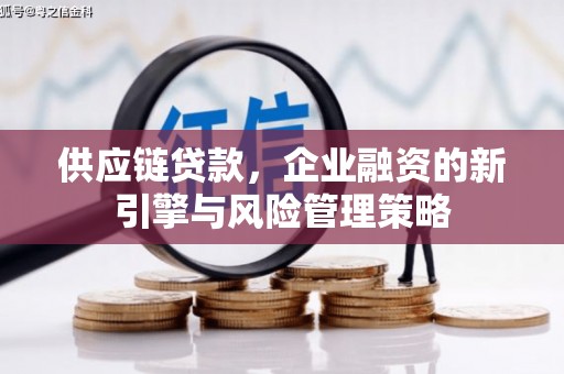 珠海供应链贷款，企业融资的新引擎与风险管理策略