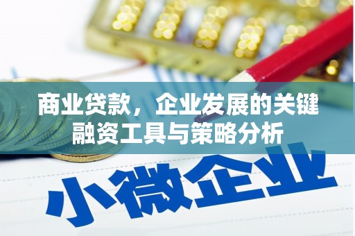 珠海商业贷款，企业发展的关键融资工具与策略分析