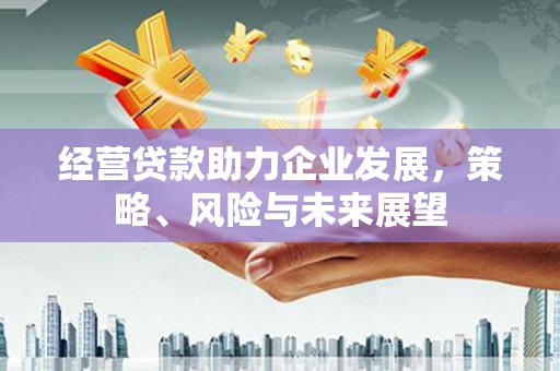 珠海经营贷款助力企业发展，策略、风险与未来展望