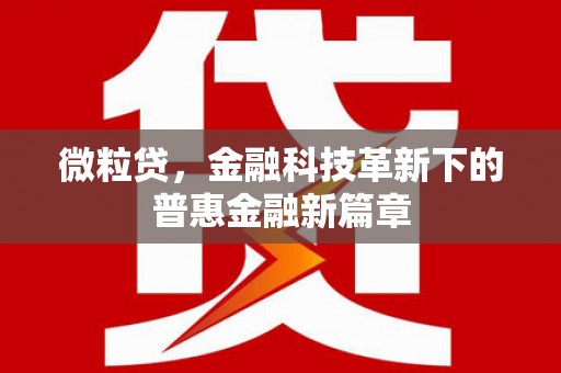 珠海微粒贷，金融科技革新下的普惠金融新篇章