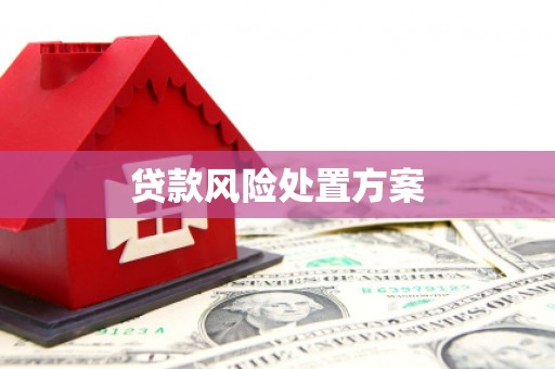 珠海贷款风险处置方案