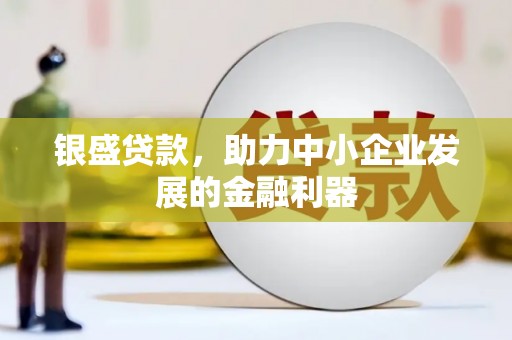 珠海银盛贷款，助力中小企业发展的金融利器