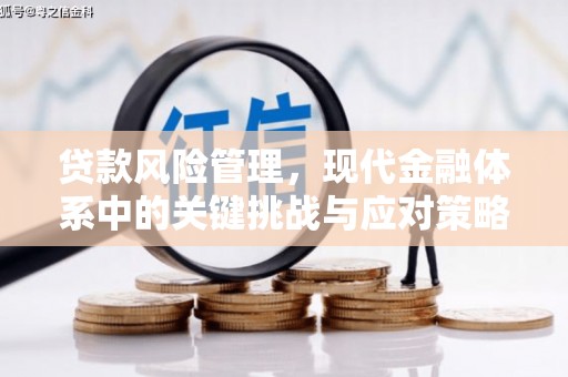 珠海贷款风险管理，现代金融体系中的关键挑战与应对策略