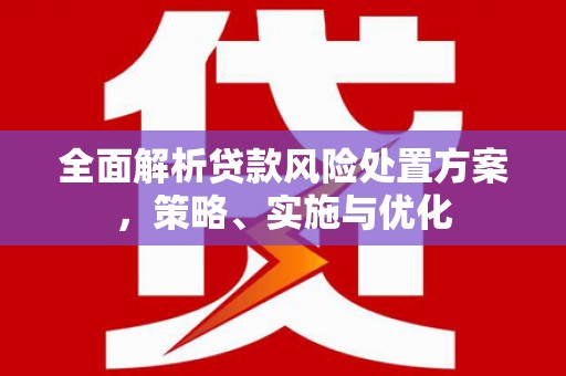 珠海全面解析贷款风险处置方案，策略、实施与优化