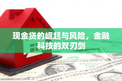 珠海现金贷的崛起与风险，金融科技的双刃剑