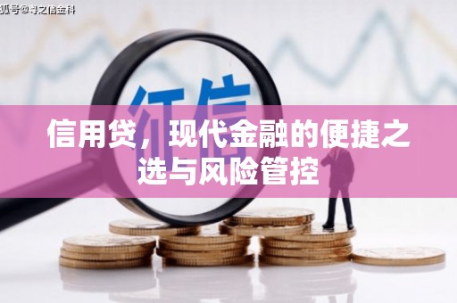 珠海信用贷，现代金融的便捷之选与风险管控