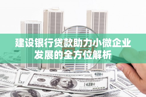 珠海建设银行贷款助力小微企业发展的全方位解析