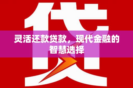 珠海灵活还款贷款，现代金融的智慧选择