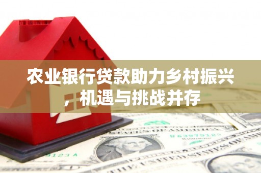 珠海农业银行贷款助力乡村振兴，机遇与挑战并存