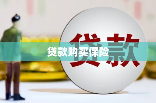 珠海贷款购买保险