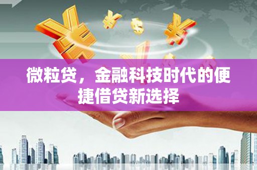 珠海微粒贷，金融科技时代的便捷借贷新选择