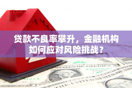 珠海贷款不良率攀升，金融机构如何应对风险挑战？