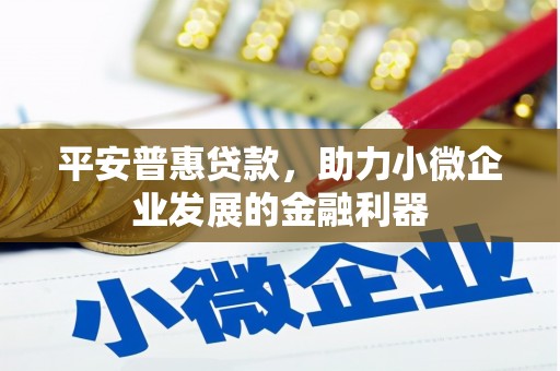 珠海平安普惠贷款，助力小微企业发展的金融利器