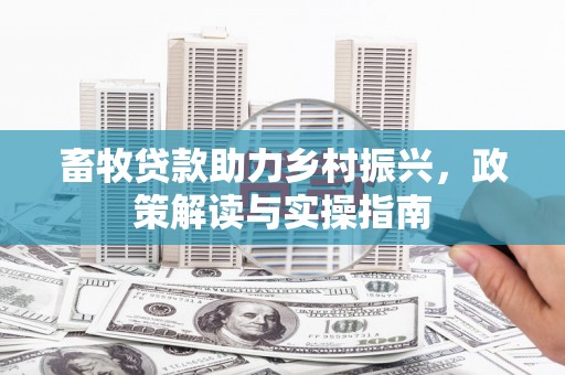 珠海畜牧贷款助力乡村振兴，政策解读与实操指南